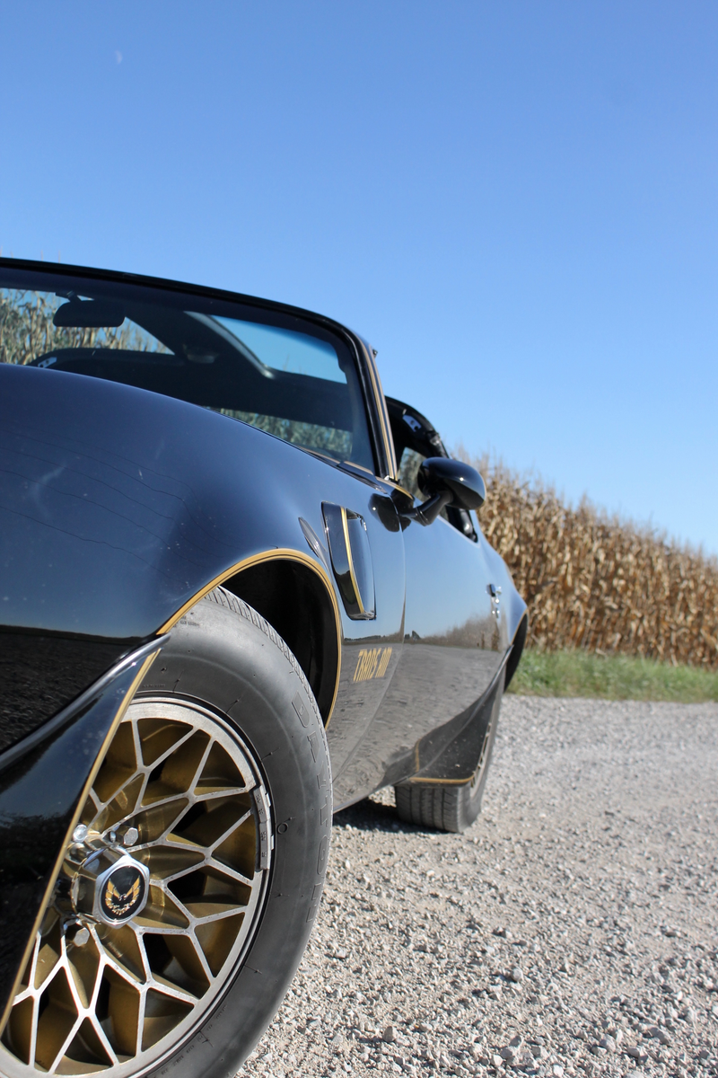 Illustration for article titled Trans Am Photoshoot 2016